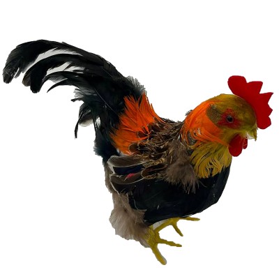 GALLO PIUMATO H24CM 2ASS