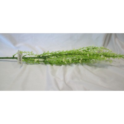 GISOFILA C FIORELLINO
