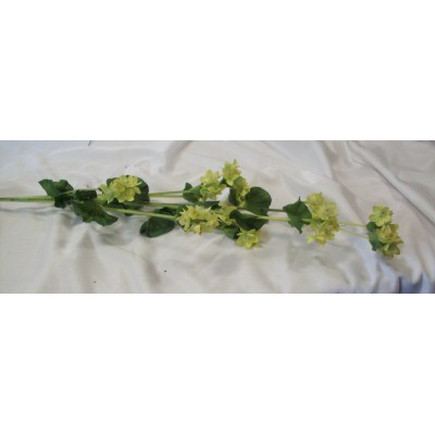 RAMO ILEX C FIORE