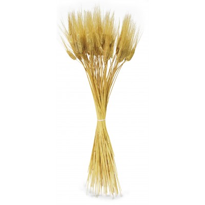 GRANO NATURALE 400GR 90cm 100PZca.