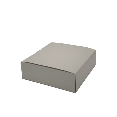SCATOLA 310X310X100 10PZ PRATICA PELLE BCO