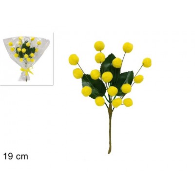 MIMOSA A RAMETTO