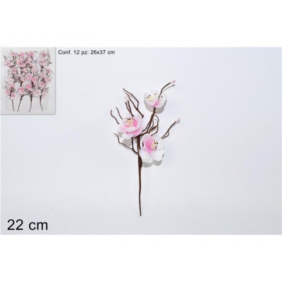 PIC C/3 FIORI DI PESCO 20CM