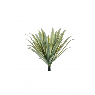 PIANTA DI ALOE D.60XH52CM S/VASO