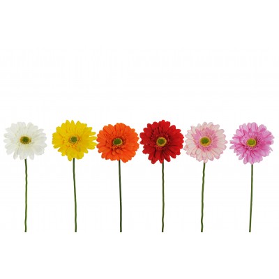GERBERA SINGOLA L.63CM COL.ASS