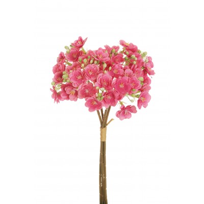 SAPONARIA BUSH X4 L.40CM