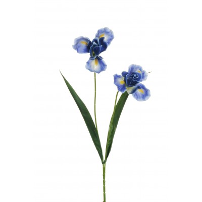 IRIS SPRAY X2 L.53CM