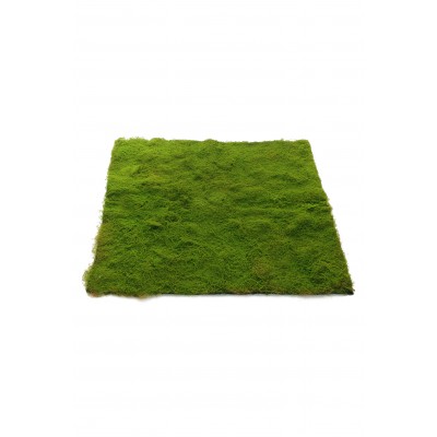 BOSSO MUSCHIO NORDICO PLASTIC 50X50 UV PROOF