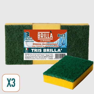 SPUGNE ABRASIVE MAXI 3PZ PAYETT 9X14cm